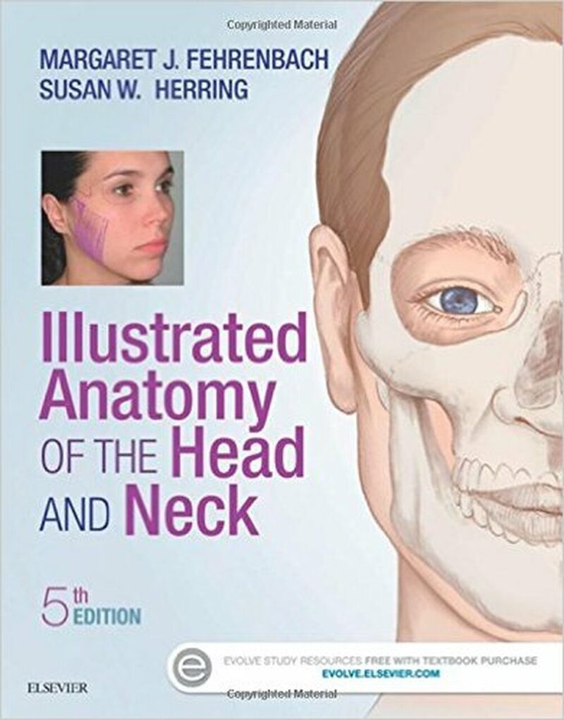 Test Bank for Illustrated Anatomy of the Head and Neck 5th Edition by Margaret J. Fehrenbach