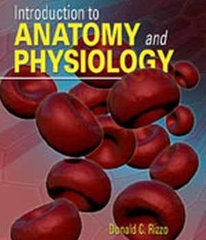 Test Bank For An Introduction to Anatomy and Physiology 1st Edition By Donald